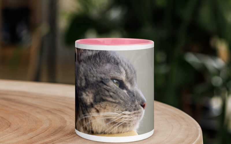 gatuz mimi dreams mug