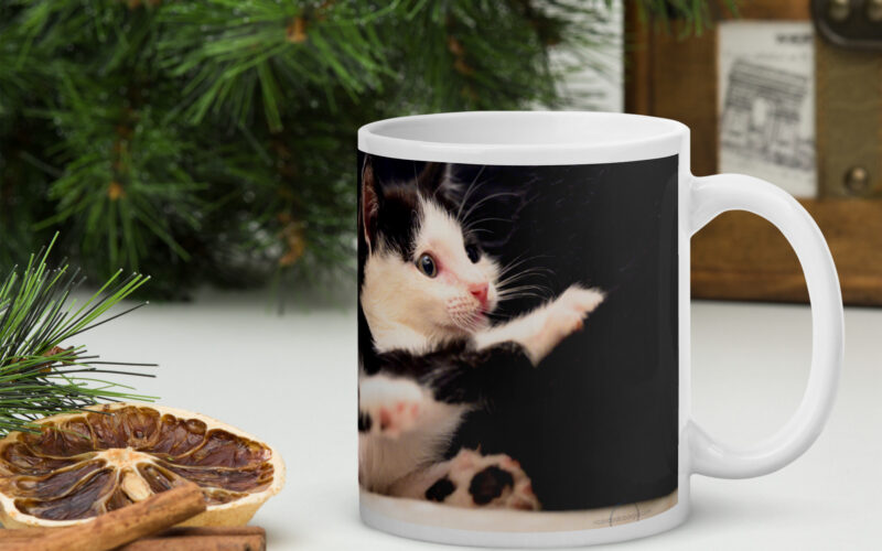 Gatuz Tesla After Dinner